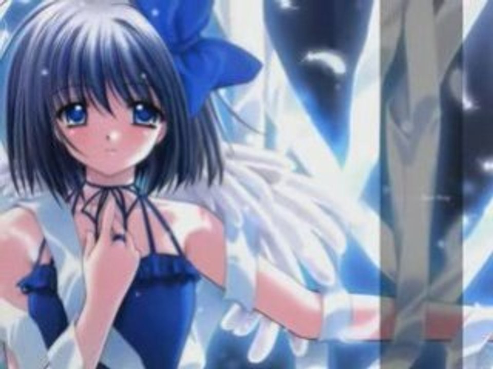 AMV Amines Love