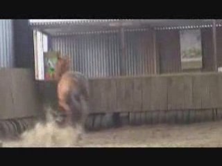 Seance Saut lundi 12janvier