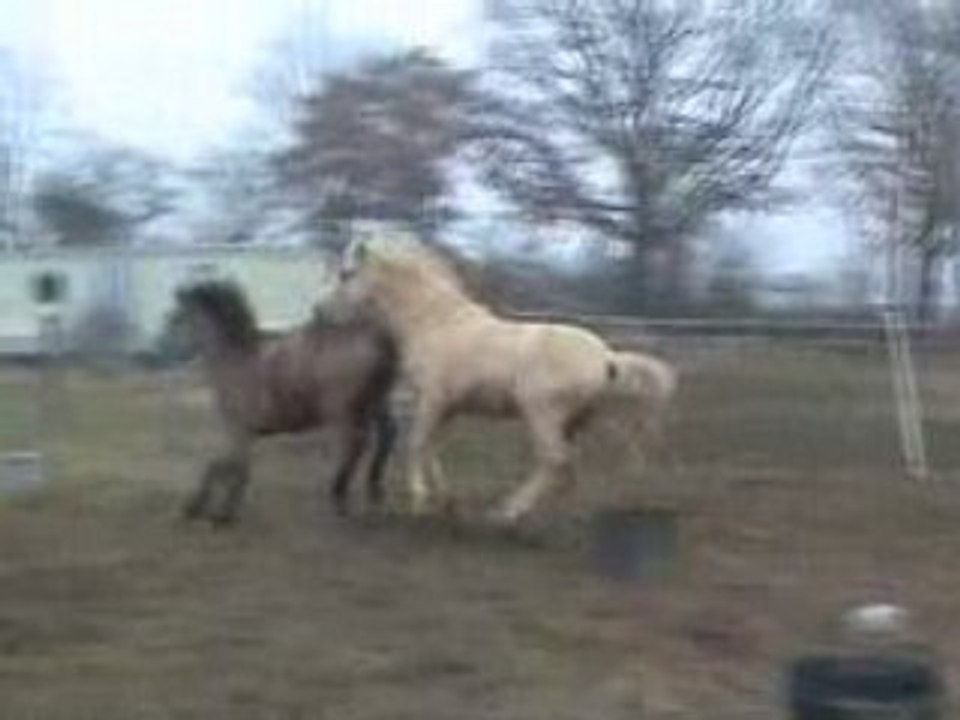 tell me du blin et thunder king du blin