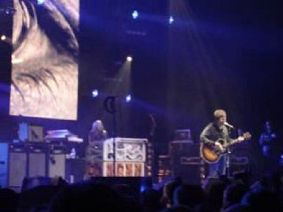 Oasis - The masterplan