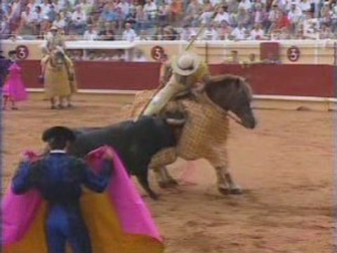 LA CAVALERIE BONIJOL : ACTEUR MAJEUR DU TERCIO DE PIQUES