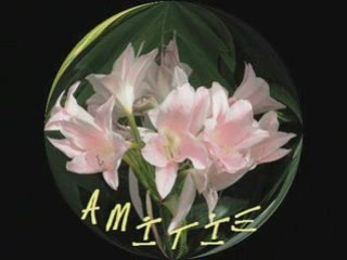 Amitié sans compromis.