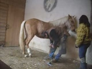 Premier parage de  tina