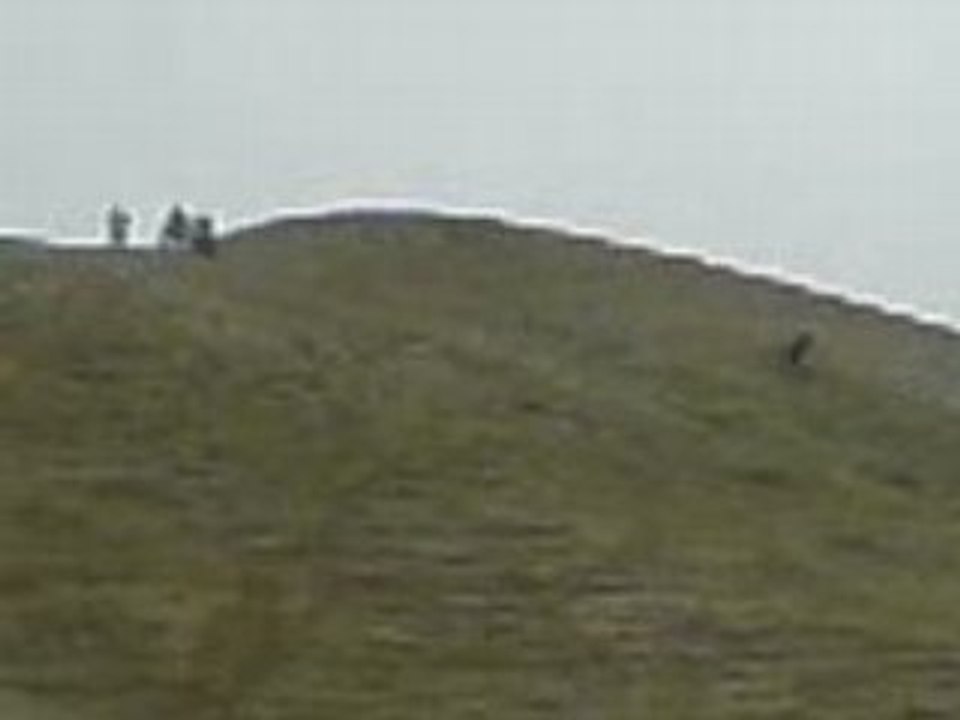 MOV00008