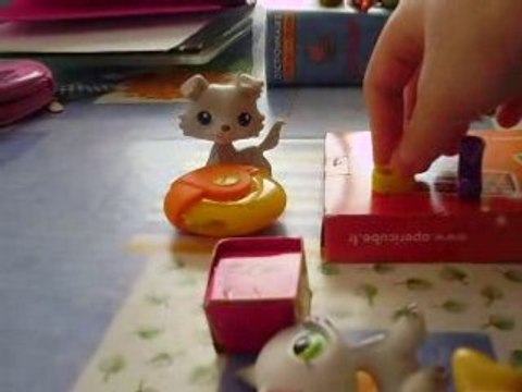 Une journée au magasin de chaussures