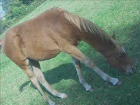 Montage de moi mes amie