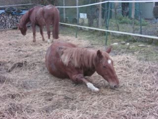 Montage mout ki se roule