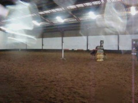 Vinnie Obstacle en longe