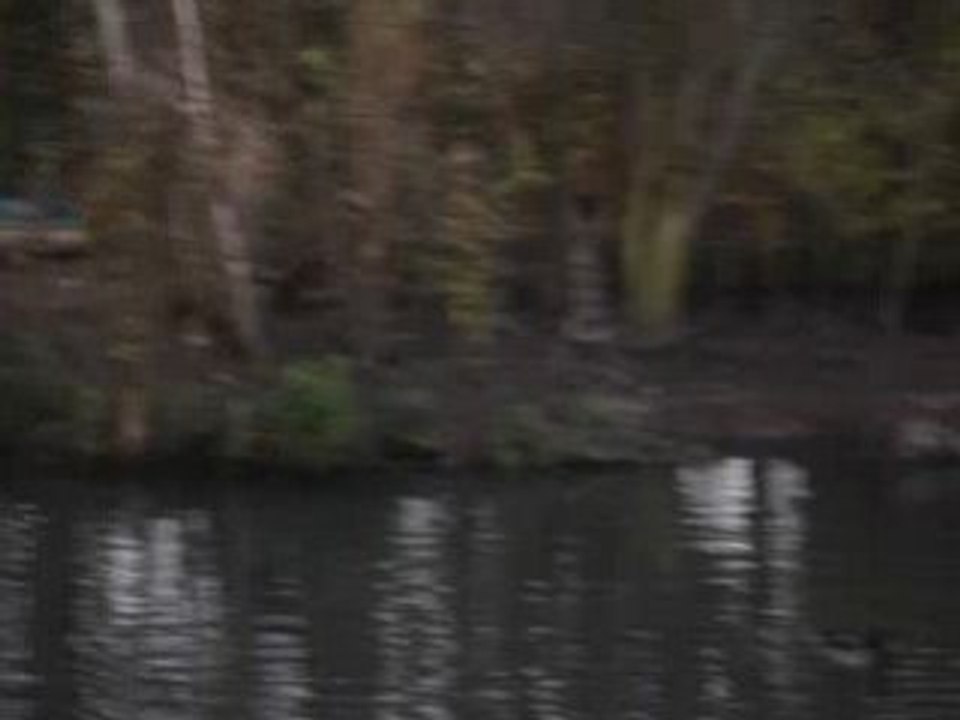 MOV03740