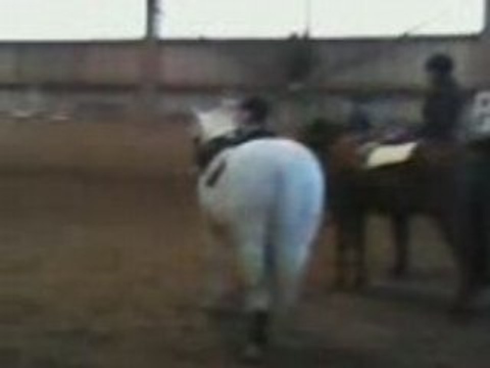 une fille et un poneys