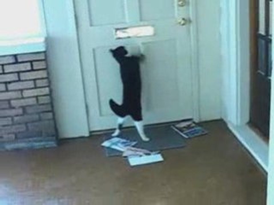 Die Post ist da!