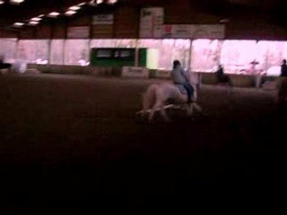 Noblesse & moi, galop.  14.o1.o9