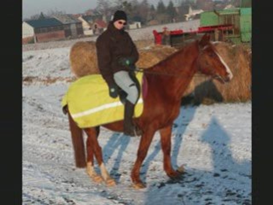 Montage du 10 jan Pierric
