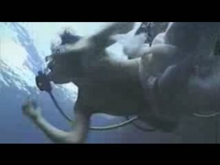 Video Making of Boy Diver 2,
