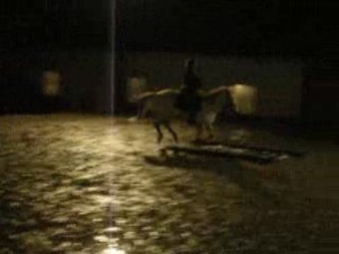 Entrainement trec ptv