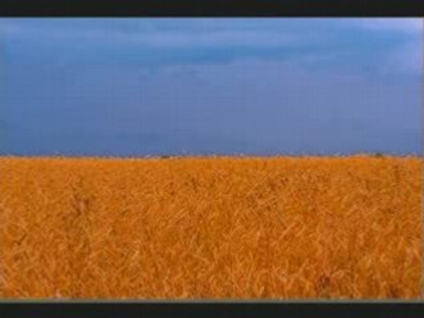 Петриненко-Україна