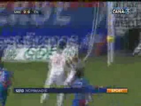 Caen - Lyon 0 1 football L1, 19 journée saison 2008-2009