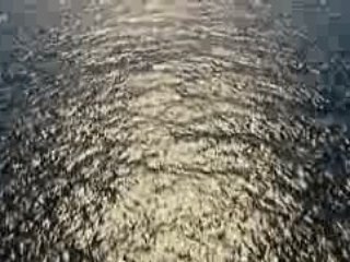 Au coeur des oceans le grand large 1/3