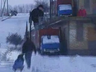 Cane Corso Maximus Winter