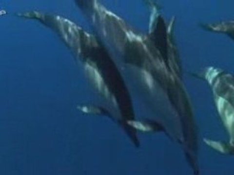 Au coeur des oceans le grand large 3/3