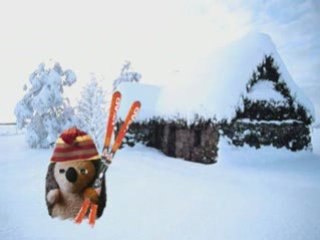 JT des radins par Radin.ch épisode1