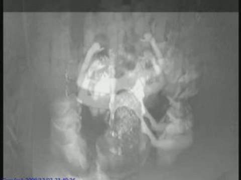 piscine martin's club montpellier