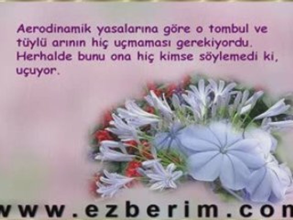 Düzeltebileceğin Tek Şey