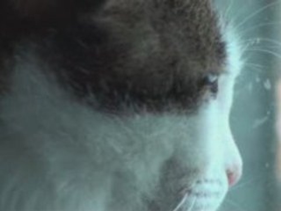 Test camescope Sony hdr-sr11 en HD