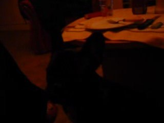 et oui il parle, enfin il essaie!