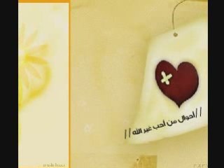 QlobLaTarfAlHob قلوب لا تعرف الحب