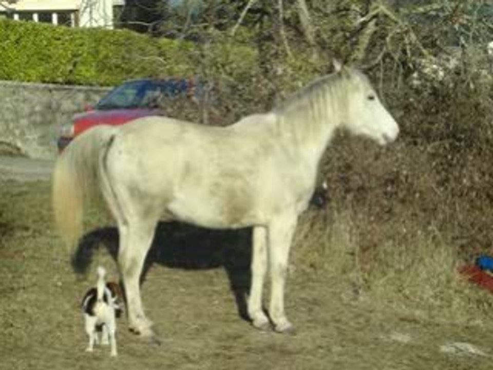rencontre