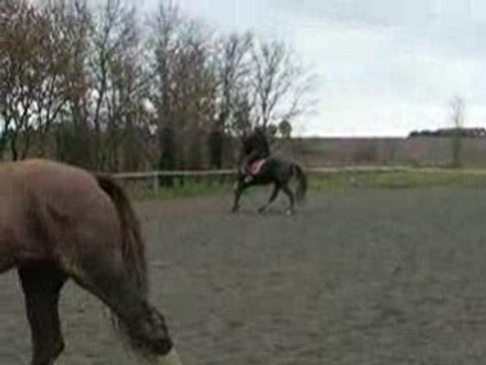 DSCN2968