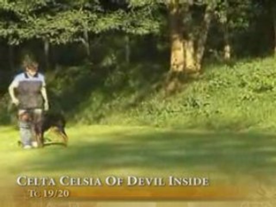 celta