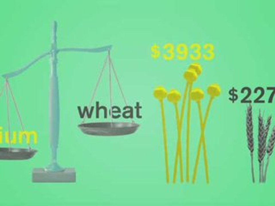 Opium Economics