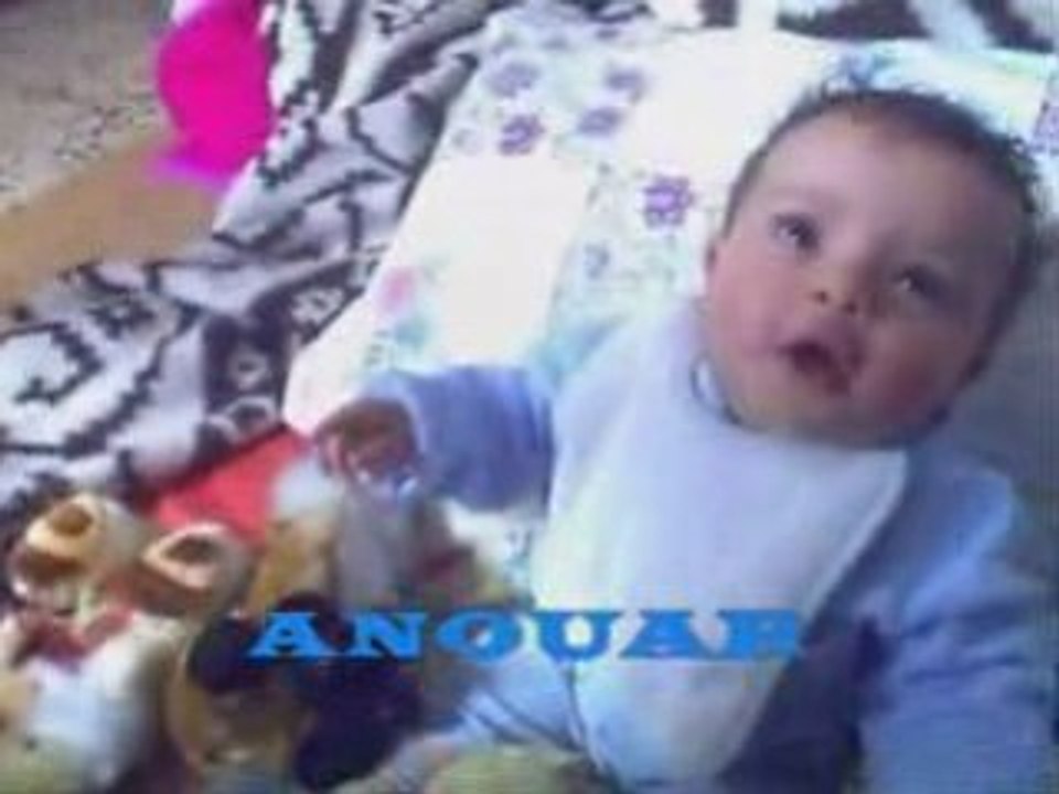 ANOUAR_PARADISE