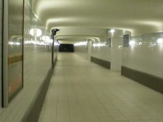 Riom-le-beau(Gare): Accès aux quais