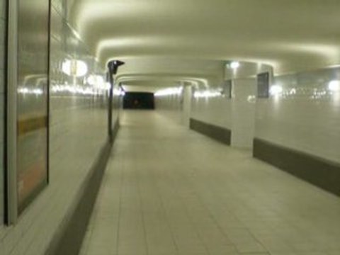 Riom-le-beau(Gare): Accès aux quais