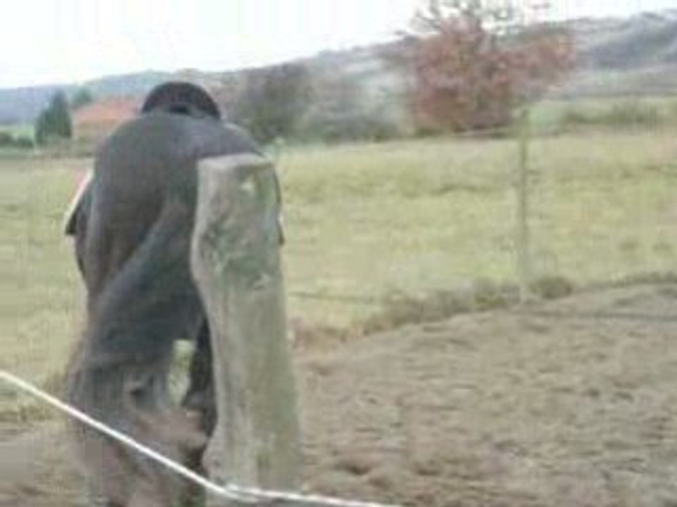 DSCN2958