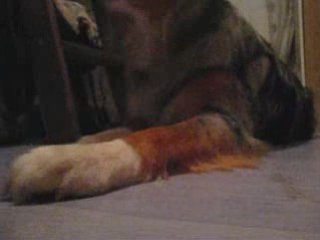 Shapping & Arrière & Croise