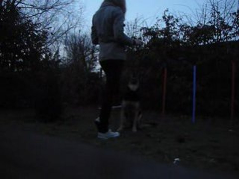 Freestyle canin, 15 janvier 09