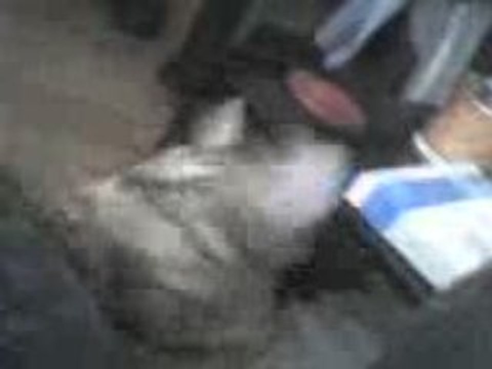 Chat se trip