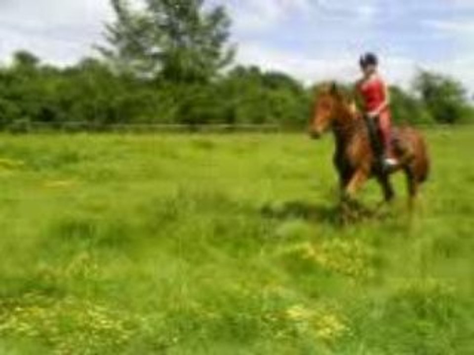 Galop avec Queria