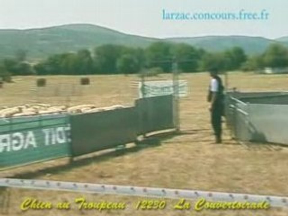 Chienautroupeau_4_concours_2
