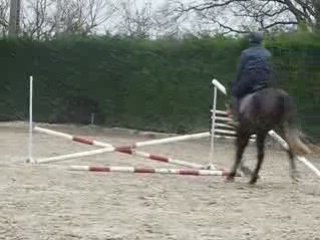 Gaëlle-Radjah n°13