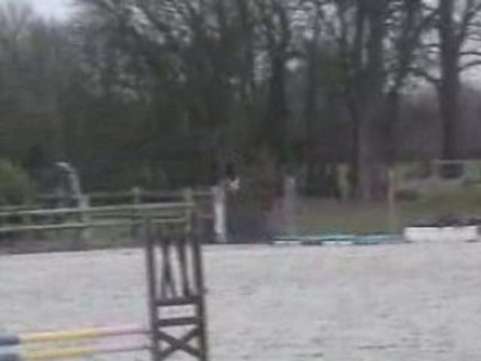 SDV_0050