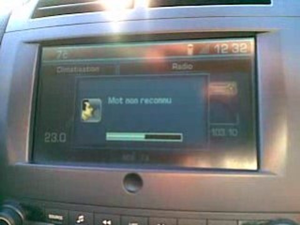 Commande vocale 407 coupé