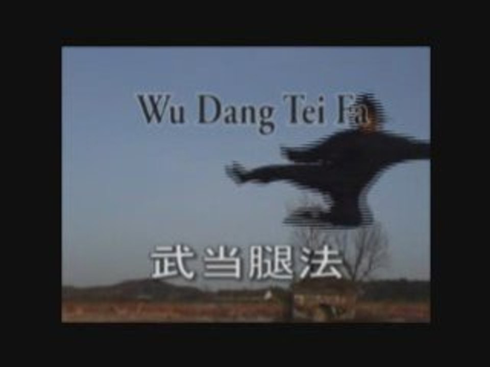 Meilleurs coups de pieds du monde!! Wudang Kung Fu