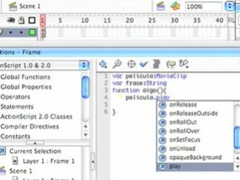 PREFERENCIAS EN FLASH 8