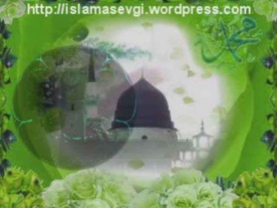 Seyreyleyip Yandım (Ammar Hoca) Dailymotion Video