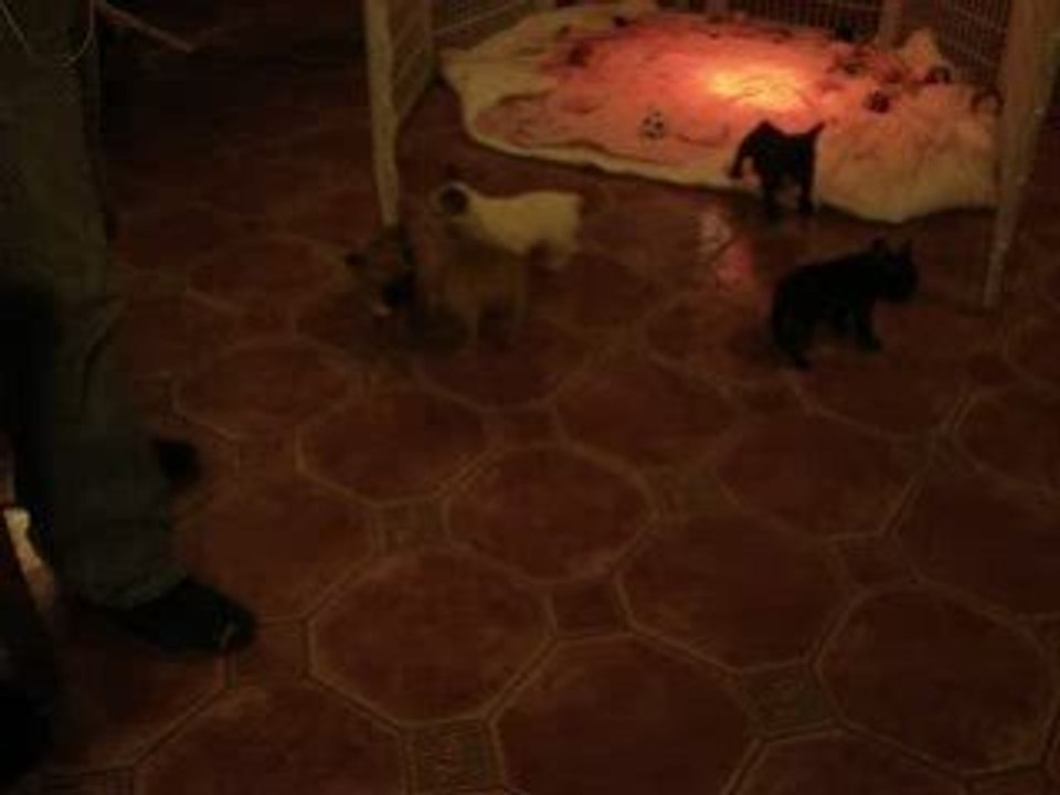 MOV04175